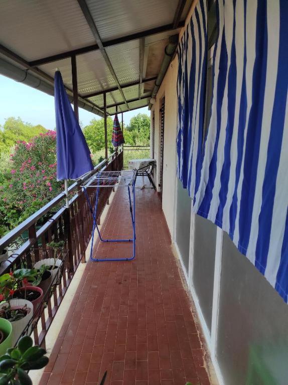 פורץ Apartments Gabriela מראה חיצוני תמונה