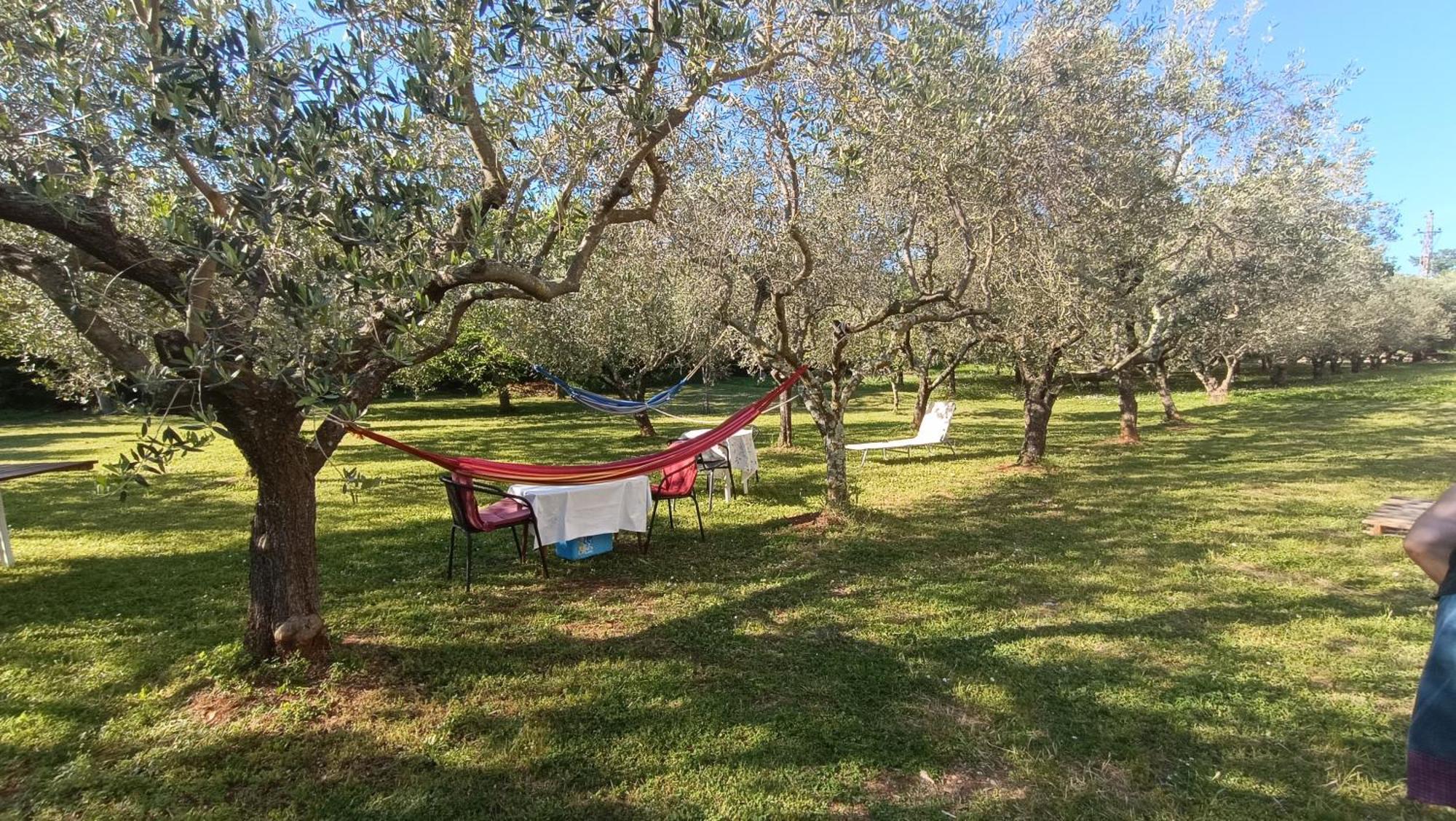פורץ Apartments Gabriela מראה חיצוני תמונה
